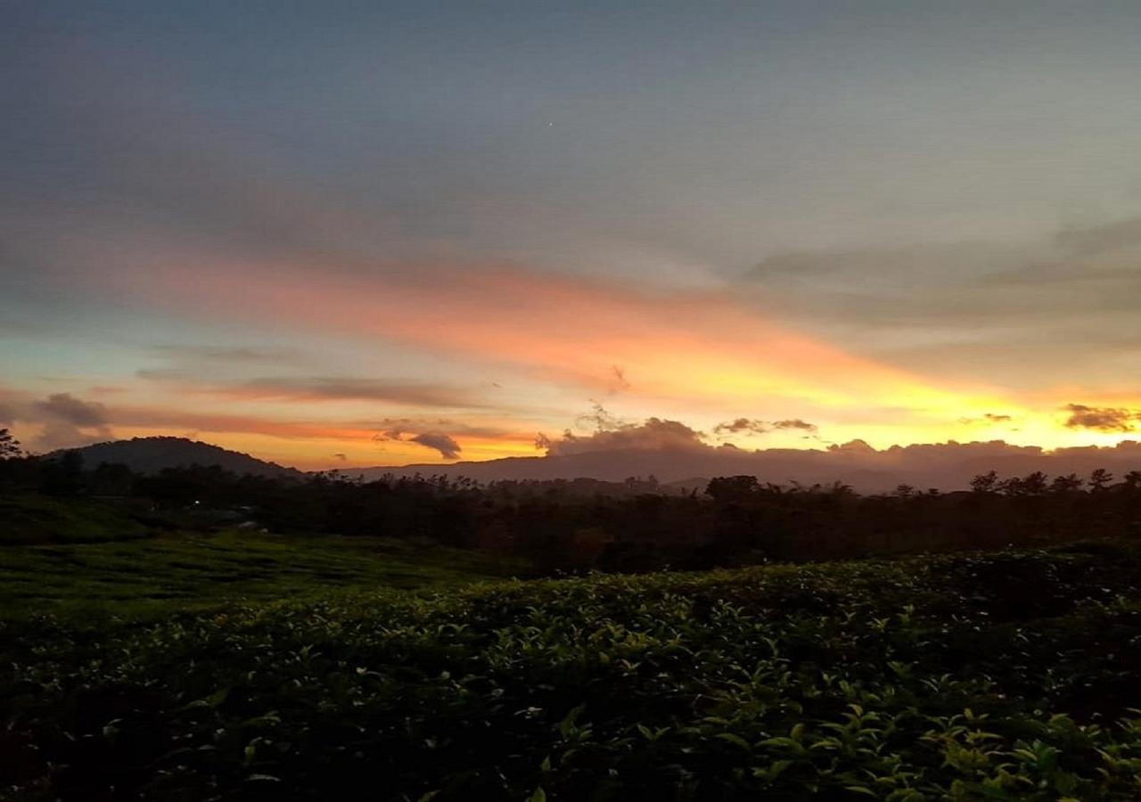 Glad Valley Wayanad By Lexstays-Tea Estate Villa Экстерьер фото