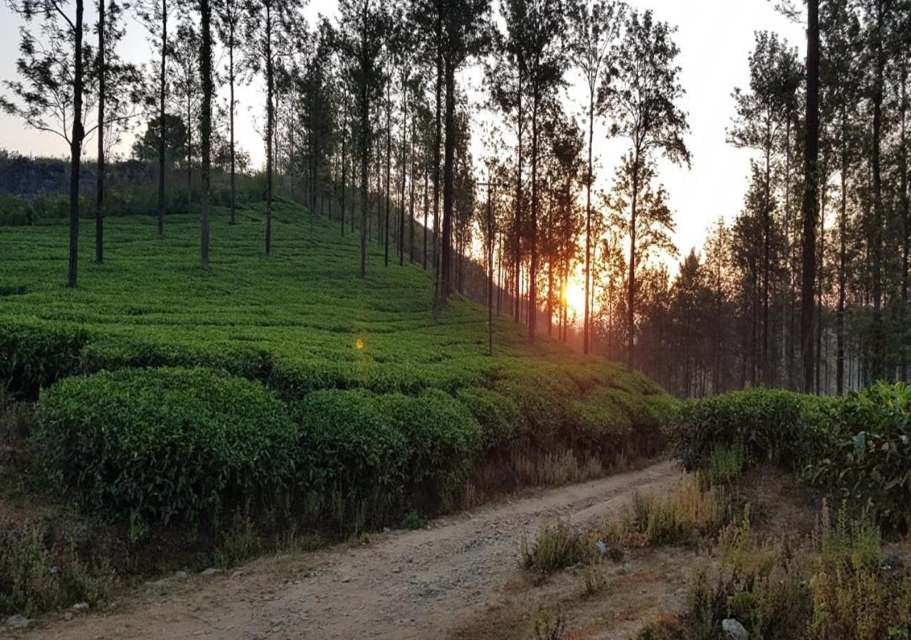 Glad Valley Wayanad By Lexstays-Tea Estate Villa Экстерьер фото